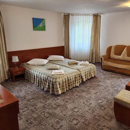 Pensjonat Casa Minerva Buşteni