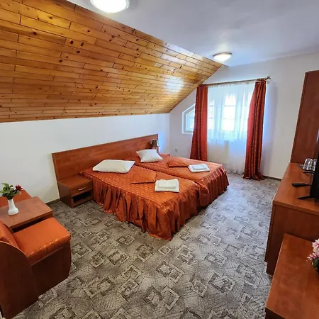 Guest house Casa Minerva Busteni