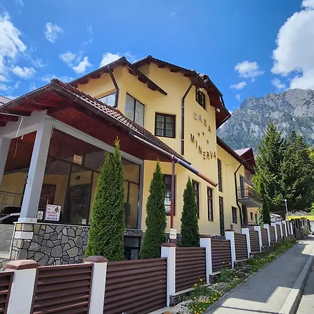 Guest house Casa Minerva Busteni