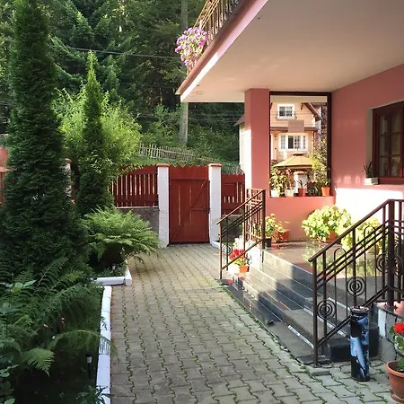 Guest house Casa Minerva 3*
